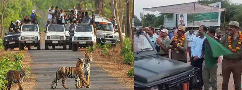 राजस्थान-सवाई माधोपुर के रणथंभौर नेशनल पार्क में पर्यटन सत्र शुरू